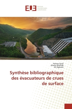 Picture of Synthèse bibliographique des évacuateurs de crues de surface