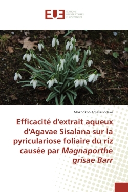 Picture of Efficacité d'extrait aqueux d'Agavae Sisalana sur la pyriculariose foliaire du riz