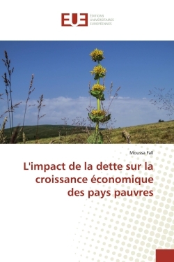 Picture of L'impact de la dette sur la croissance économique des pays pauvres