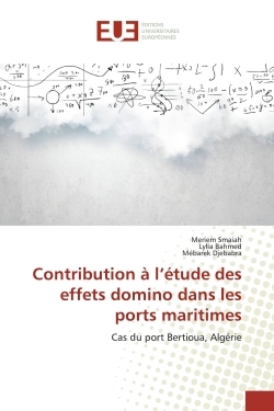 Image de Contribution à l'étude des effets domino dans les ports maritimes