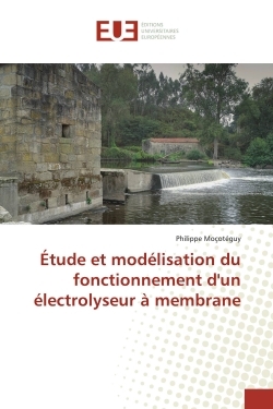 Picture of Étude et modélisation du fonctionnement d'un électrolyseur à membrane
