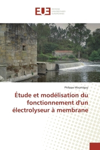 Picture of Étude et modélisation du fonctionnement d'un électrolyseur à membrane