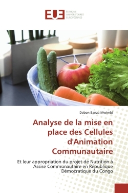 Picture of Analyse de la mise en place des Cellules d'Animation Communautaire