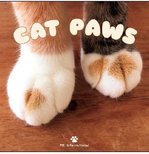 Picture of Cat Paws /anglais