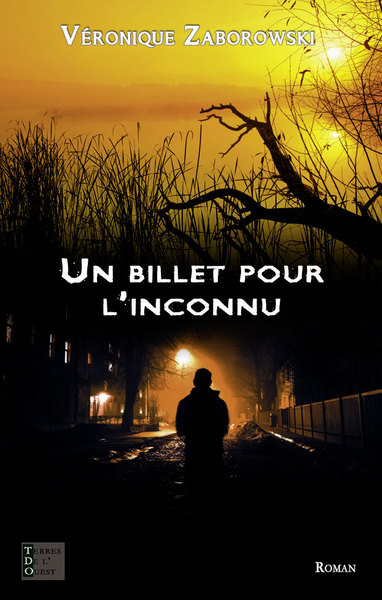 Image de UN BILLET POUR L'INCONNU