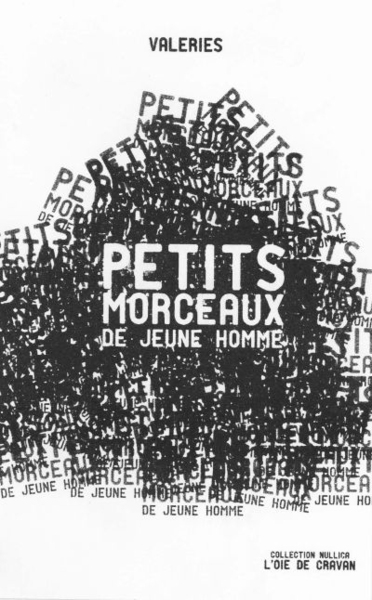 Image de Petits morceaux de jeune homme
