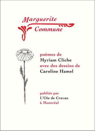 Image de Marguerite Commune