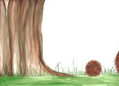 Picture of Mès, on ei?