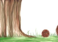 Picture of Mès, on ei?