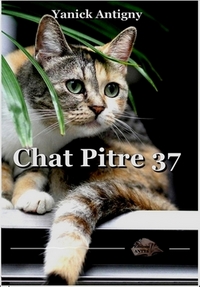 Picture of Chat Pitre 37
