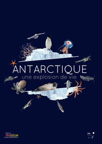 Picture of Antarctique, une explosion de vie