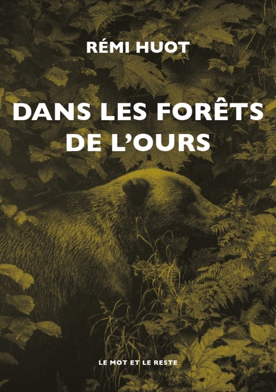 Image de Dans les forêts de l'ours