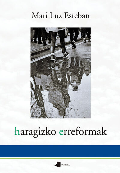 Picture of HARAGIZKO ERREFORMAK
