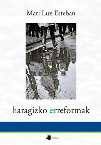Picture of HARAGIZKO ERREFORMAK
