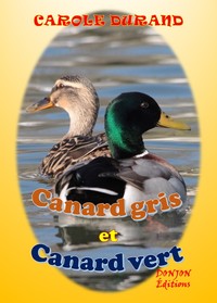 Image de CANARD GRIS ET CANARD VERT
