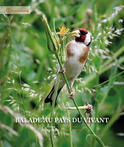 Image de Balade au pays du vivant