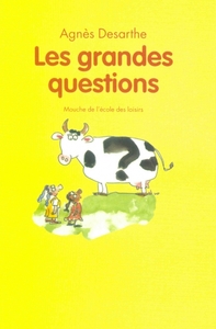 Picture of LES GRANDES QUESTIONS