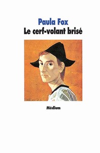 Image de Le cerf-volant brisé