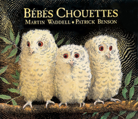 Picture of Bébés Chouettes