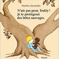 Image de N'aie pas peur Teddy ! je te protégerai des bêtes sauvages