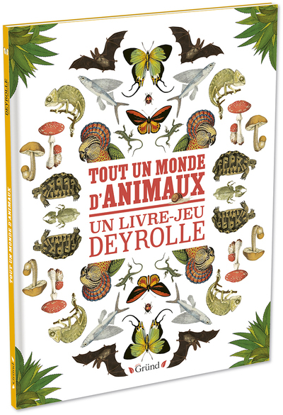 Image de Tout un monde d'animaux - Un livre-jeu Deyrolle