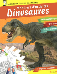 Picture of Pour les Nuls activités - mon livre d'activités dinosaures