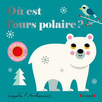 Image de Où est l'ours polaire ?