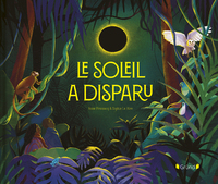 Image de Le soleil a disparu