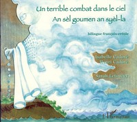 Image de Un terrible combat dans le ciel