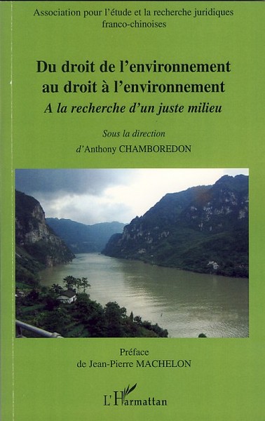 Picture of Du droit de l'environnement au droit à l'environnement