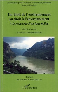 Picture of Du droit de l'environnement au droit à l'environnement