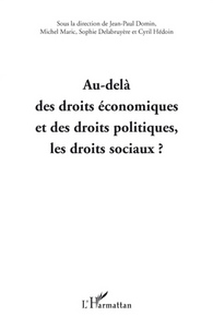 Picture of AU-DELÀ DES DROITS ECONOMIQUES ET DES DROITS POLITIQUES, LES DROITS SOCIAUX ?