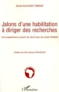 Image de Jalons d'une habilitation à diriger des recherches