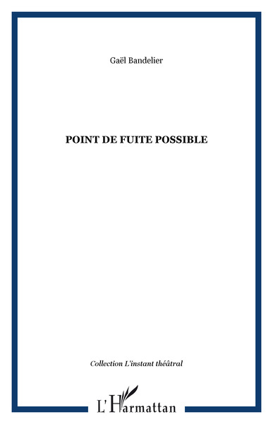 Picture of Point de fuite possible