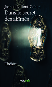Image de Dans le secret des abîmés