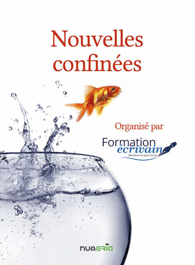 Image de Nouvelles confinées
