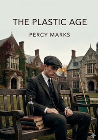 Picture of The Plastic Age