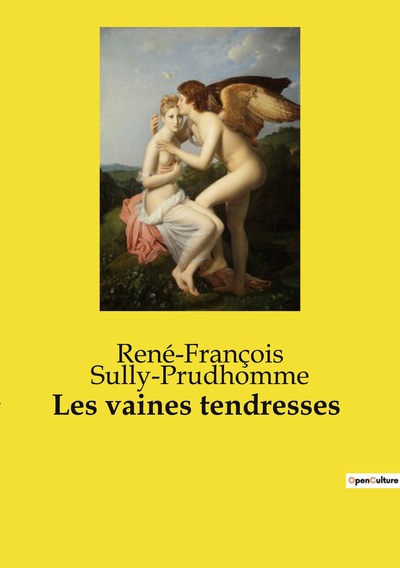 Image de Les vaines tendresses