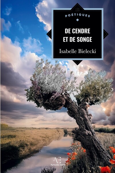 Picture of De cendre et de songe