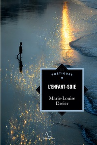 Image de L'Enfant-soie