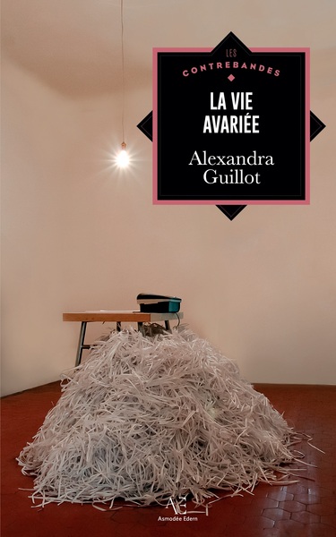 Image de La Vie avariée