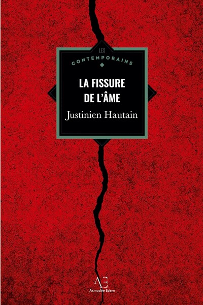 Image de La Fissure de l'âme