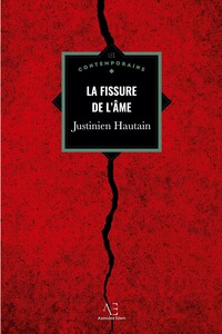 Image de La Fissure de l'âme