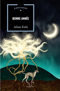 Image de Bonne année