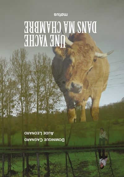 Image de Une vache dans ma chambre