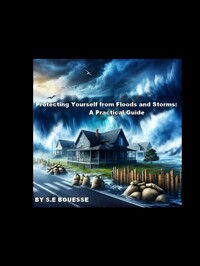 Image de Protecting Yourself from Floods and Storms: A Practical Guide