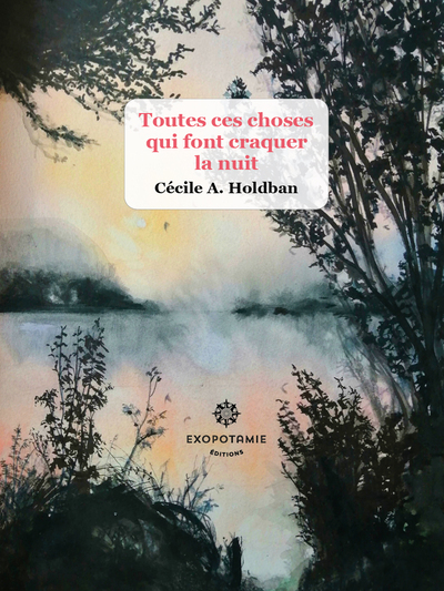 Image de TOUTES CES CHOSES QUI FONT CRAQUER LA NUIT