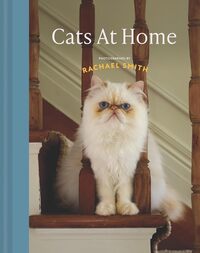 Picture of Cats at Home