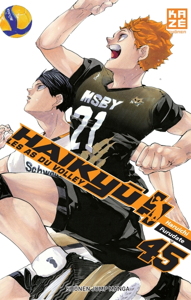 Image de Haikyu T45 (Fin)
