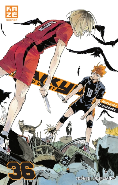 Picture of Haikyu T36